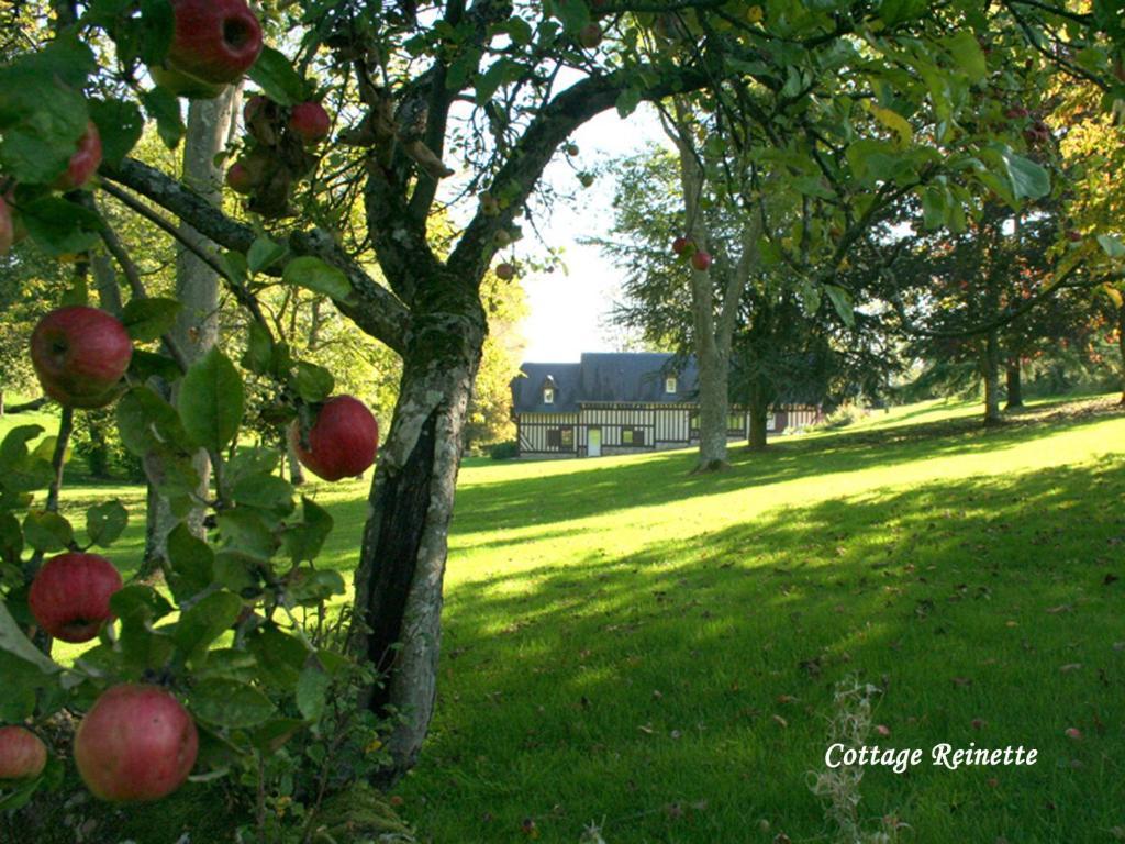 Les Fermes De Florence Bien Etre Et Nature Les Champeaux Room photo